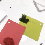 Red and green colour squares